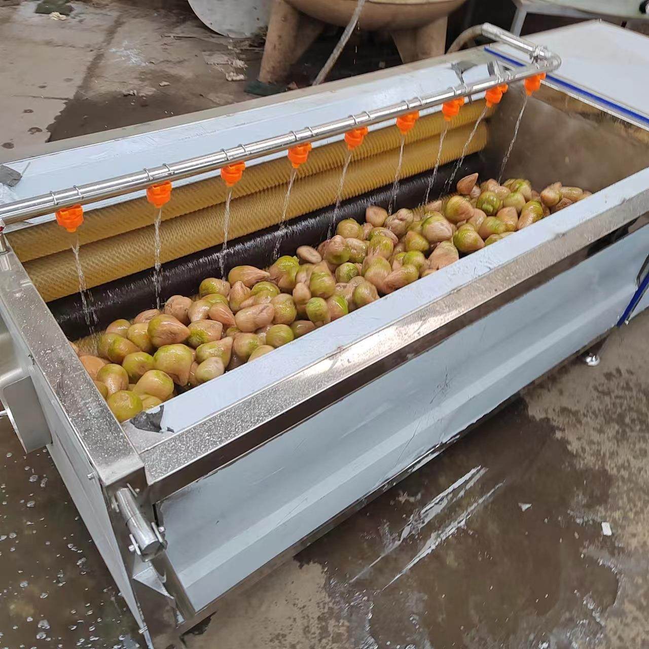 洗咸菜机器滚筒式根茎类蔬菜清洗机芥菜疙瘩清洗机红薯清洗机,淘宝优惠券,粉丝福利购,淘宝优惠卷