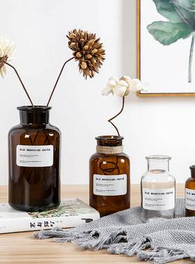 极速小清新简约透明花瓶创意玻璃水培插花乾燥花花器客厅摆件装饰