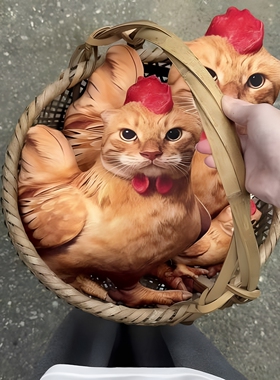 是鸡还是猫？鸡猫挂件猫咪玩偶