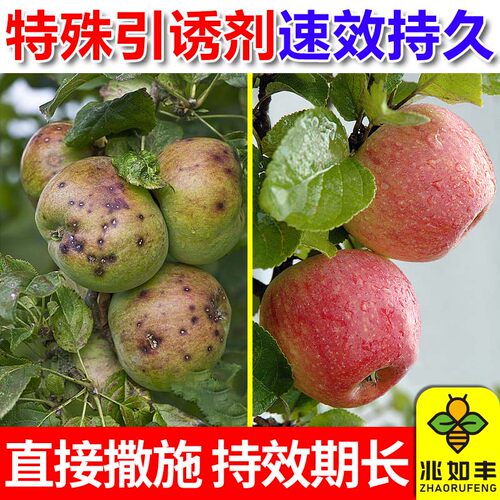 壤沃莱撒施型防虫颗粒吡虫啉颗粒苹果树地上下害虫果树正品杀虫剂 - 图0