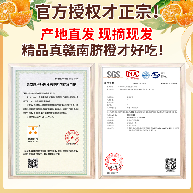 赣南脐橙新鲜橙子江西赣州信丰官方旗舰店产地直发剥皮精品果正宗