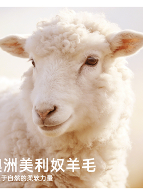 皮尔卡丹100%羊毛加厚保暖围巾