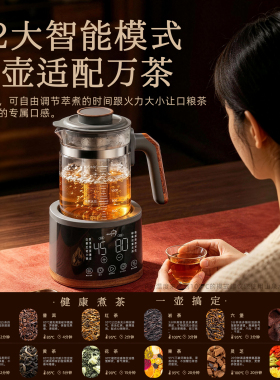 99.9%纯钛•煮茶器多功能养生壶