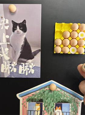oddhaus小众磁吸鸡蛋托冰箱贴