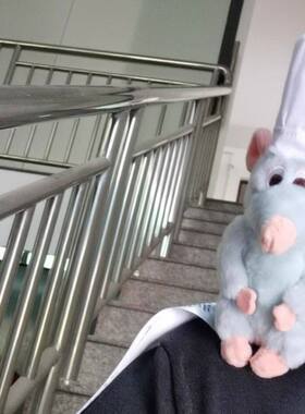 料理鼠王公仔毛绒玩具玩偶男女生日礼物有磁铁可坐肩