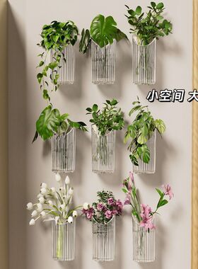 【6个装】水培植物壁挂花盆绿萝鲜水培植物壁挂花盆透明绿萝花器
