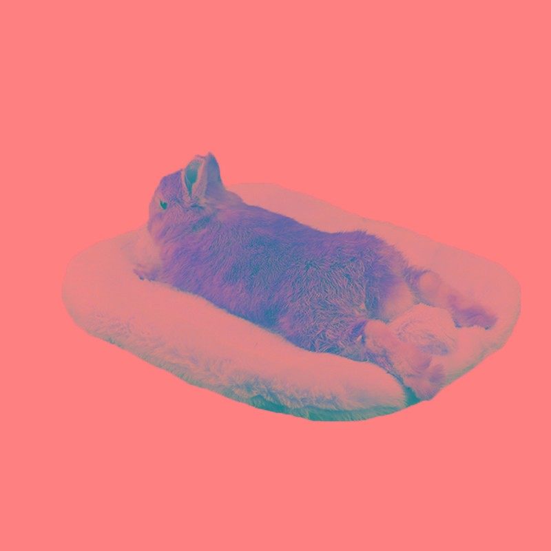 兔尾巴垫宠物兔子窝专用兔兔保暖垫子冬天睡觉豚鼠用品棉窝垫子,淘宝优惠券,粉丝福利购,淘宝优惠卷