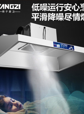 扬子商用抽油烟机包安装超大吸力
