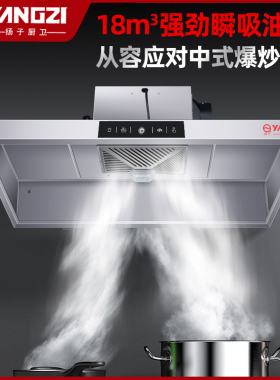 扬子商用抽油烟机包安装超大吸力