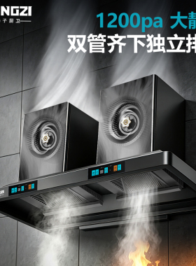 扬子顶吸式抽油烟机一级能效变频免清洗挥手操控铜风机大吸力商用