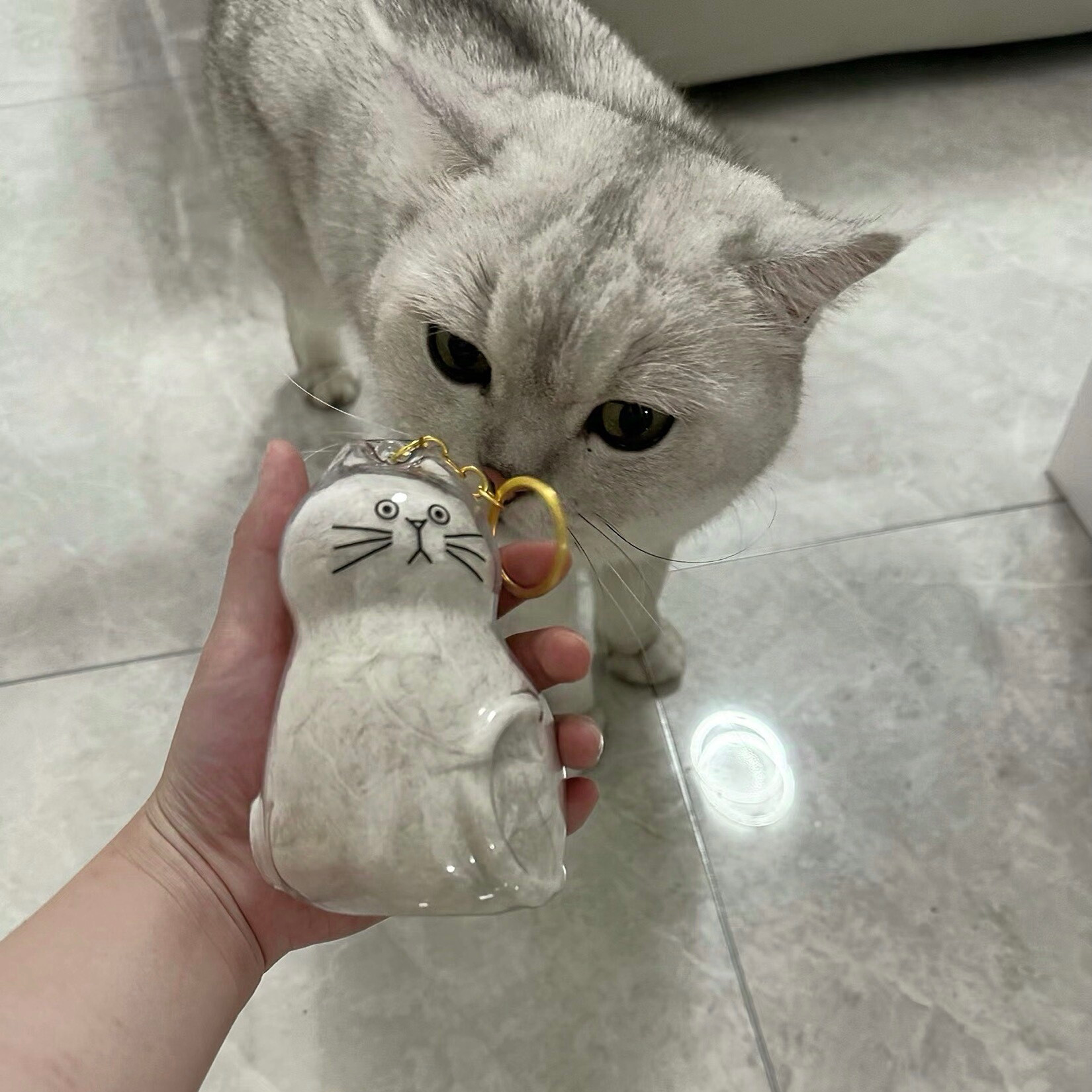 Extra Large Cat Hair Keychain Capsule Charm Gacha Storage Souvenir Collection Bag Transparent Cat Hair Storage Box
