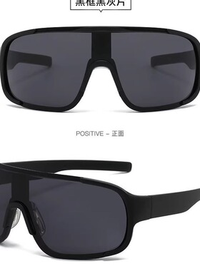 登山骑行护目眼镜防风沙墨镜变色