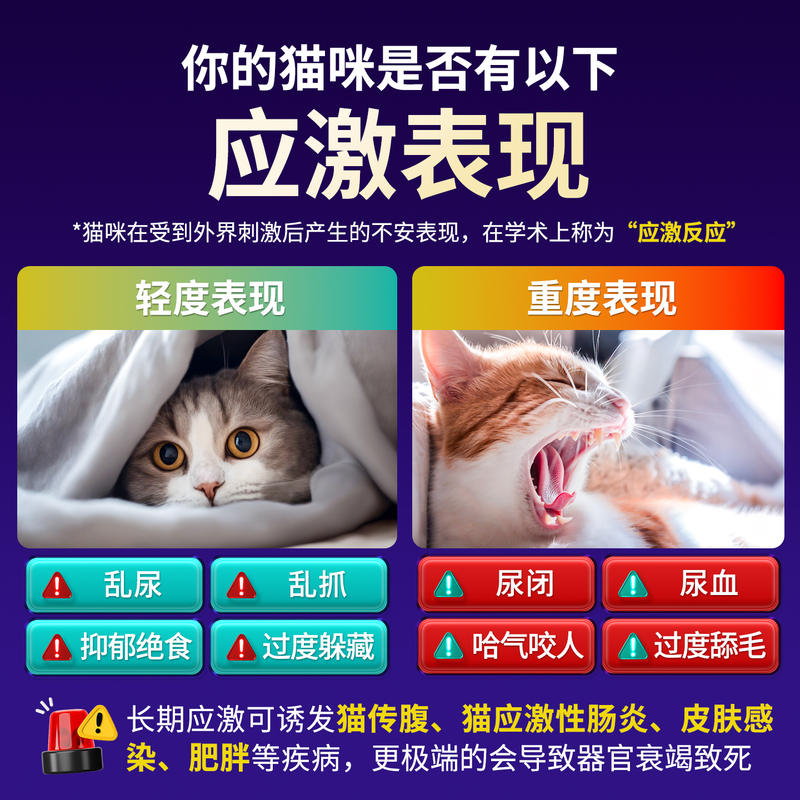 商品缩略图 2