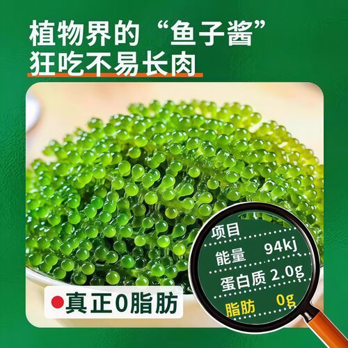 正宗儿童即食海葡萄正品官方旗舰店新鲜绿色鱼子酱健康零食水葡萄 - 图1