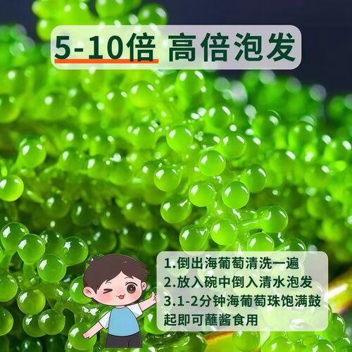 正宗儿童即食海葡萄正品官方旗舰店新鲜绿色鱼子酱健康零食水葡萄 - 图2