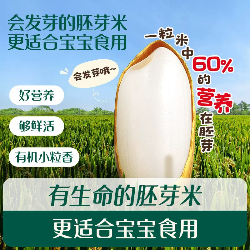 当季新米有机胚芽米婴幼儿宝宝专用辅食东北五谷杂粮官方旗舰店