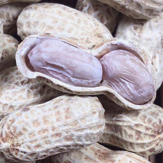 New Longyan specialty boiled, sun-dried and salted peanuts