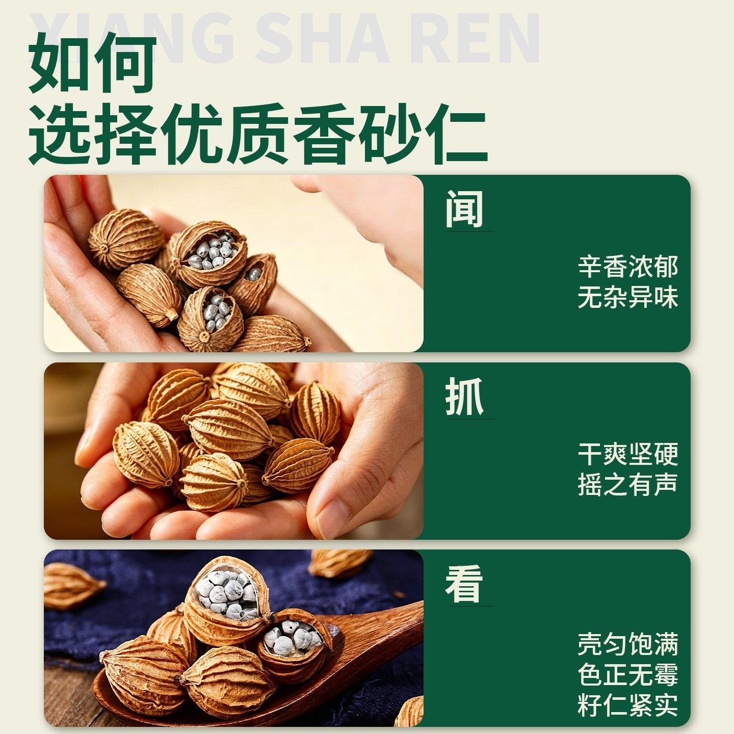 香砂仁香料正宗四川宜宾香砂仁调料500克川砂仁当季新货餐饮专用