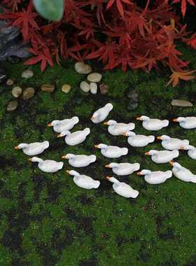 新款直销苔藓微景观仿真可爱小鸭子摆件跨境多肉盆栽花园装饰品树