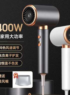 跨境电吹风机大风力网红家用发廊学生宿舍负离子大功率吹风筒
