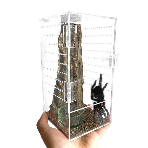 桌面雨林宠物饲养盒树栖捕鸟蛛兰花螳螂姥爷树蛙高款大号亚克力盒 - 图1