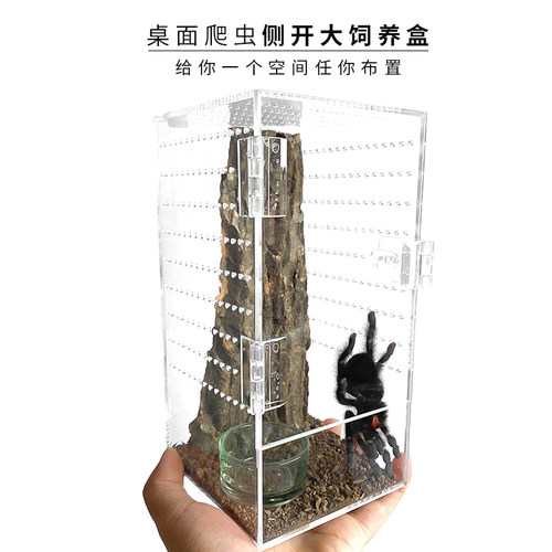 桌面雨林宠物饲养盒树栖捕鸟蛛兰花螳螂姥爷树蛙高款大号亚克力盒 - 图0