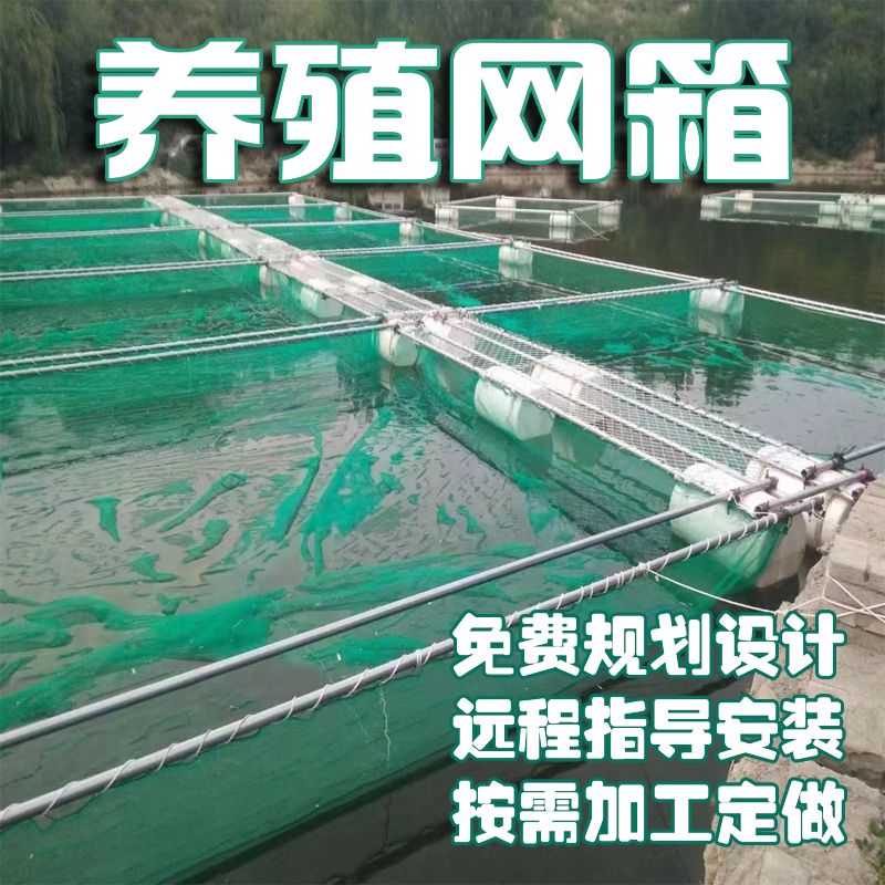 定做养鱼网箱水产存鱼网箱养殖网箱大鱼塘渔网白色尼龙不伤鱼网箱 - 图3