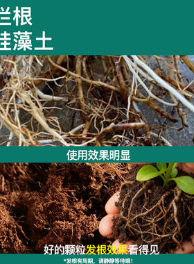 粒种植拌土兰花多肉铺面专用透气不粉化颗粒土养花营养土防晒袖套