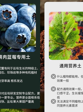 专用营养土酸性蓝莓育苗培育泥土盆栽家庭园艺营养种植土防晒袖套