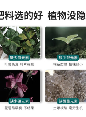养粒瓜果蔬菜专用富含氮磷钾种植果树长效植物大颗粒保水防晒袖套