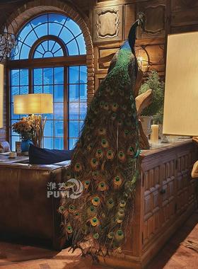 【精品】彷真蓝孔雀动物摆件家居装饰鸟类标本模型真羽毛摄影道具