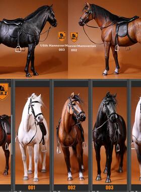 Mr.Z1/6汉诺威温血马仿真动物模型高档mrz马模型骏马摆件兵人坐骑