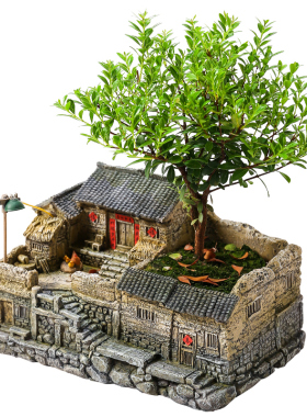 文竹盆景植物室内小盆栽客厅办公室桌面微景观造景老房子模型摆件