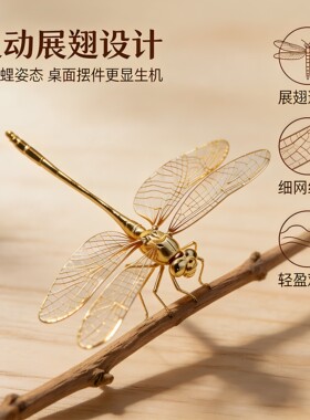 黄铜实心蜻蜓摆件守福客厅