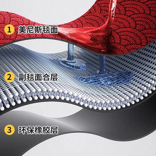 入户门地垫2024新款家用中式高级感地毯门垫耐脏免洗防滑进门脚垫 - 图2
