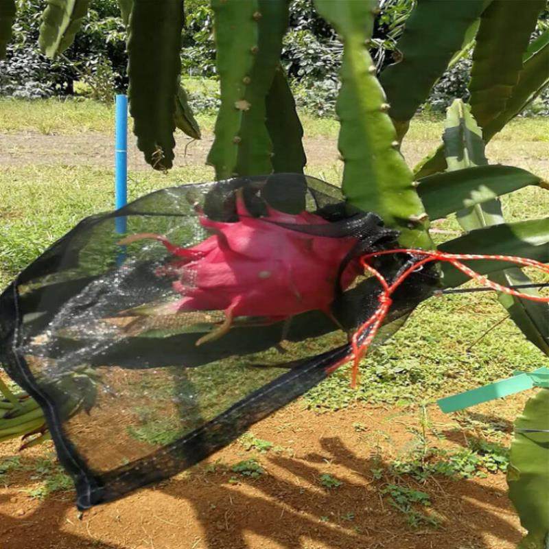 火龙果套袋防鸟防果蝇防虫网袋黑色火龙果专用套袋双绳套袋尼龙袋,淘宝优惠券,粉丝福利购,淘宝优惠卷