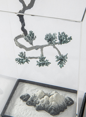 新中式禅意亚克力罩盆景桌面摆件客厅样板间别墅玄关售楼处装饰品