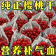 酸甜樱桃干无核车厘子干果脯蜜饯水果凉果干零食丽人膳补罐装
