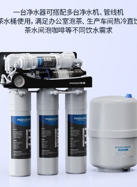 75G工厂直饮水商用反渗透净水器家用过滤净水机办公室RO纯水机