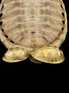 铜乌龟壳创意六摇卦铜钱用具龟甲六十四卦工具中式工艺品家居摆件