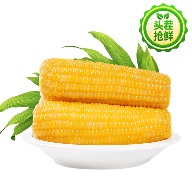 【长白山糯玉米】玉米新鲜糯玉米棒真空包装袋东北黏粘甜糯即食
