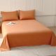 Thickened furry sheets single piece winter simple solid color cotton dormitory autumn and winter single double bed three-piece set
