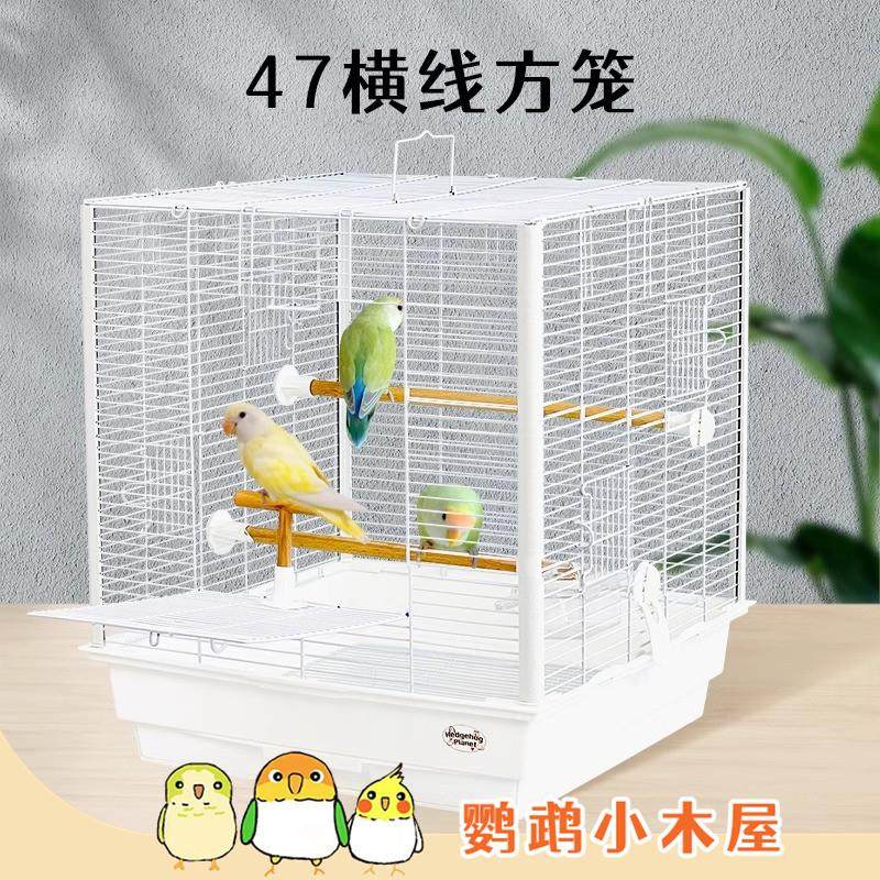 鹦鹉小木屋刺星球4747加宽方笼立柱鹦鹉鸟笼虎皮牡丹玄凤繁殖笼,淘宝优惠券,粉丝福利购,淘宝优惠卷