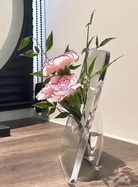 相框花瓶亚克力轻奢高级感花瓶摆件客厅插花透明水养插花鲜花高级