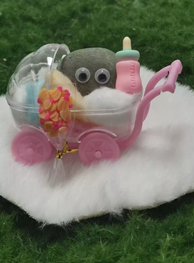 好看的宠物石头可以养的网红小石头送小朋友学生版男孩女孩玩具