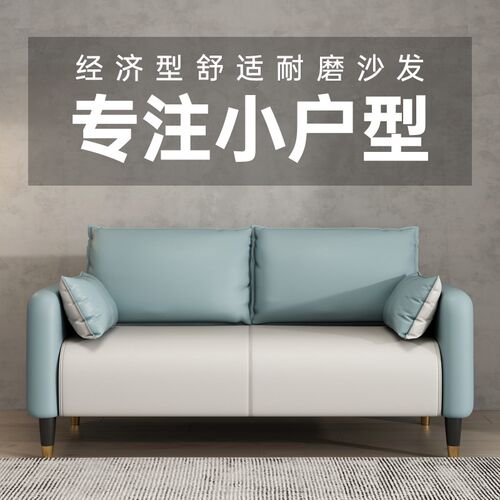 猫抓皮沙发小户型客厅简约双人两三人座出M租房公寓简易服装店网 - 图2