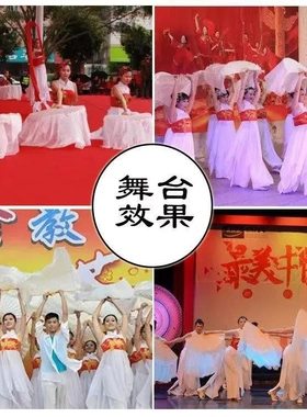 舞蹈扇真丝白色双面加长跳舞扇盛世鸿姿雪中梅演出古典舞梁祝扇子