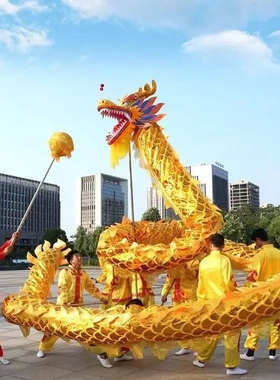 舞龙道具整套耍龙灯牛津烫金龙国标龙舞龙舞狮服装龙头防锈九节龙