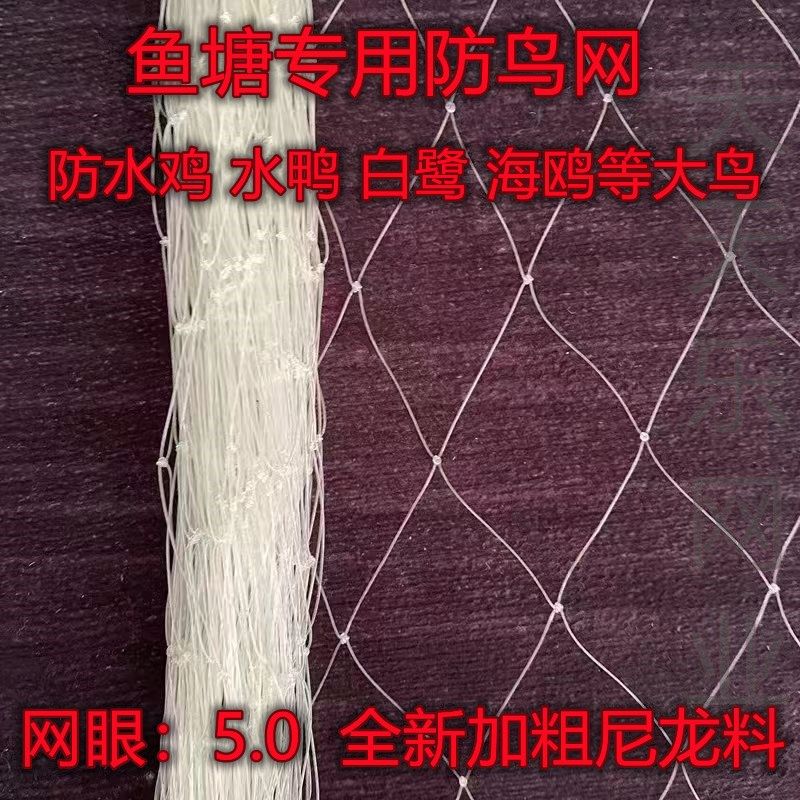 5厘米网眼池塘专用防鸟网大鸟大孔尼龙养殖牛蛙龙虾白鹭鱼塘天网,淘宝优惠券,粉丝福利购,淘宝优惠卷