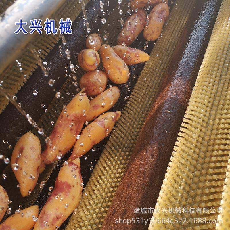 全自动姜不辣毛辊去皮清洗机 海鲜毛辊清洗机 根茎类果蔬清洗机,淘宝优惠券,粉丝福利购,淘宝优惠卷
